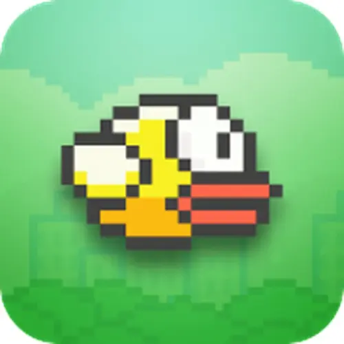 bird.webp