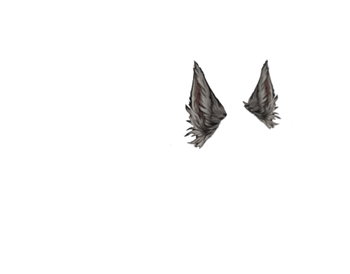 Untitled116 0000 00 39 20260305121953.png
