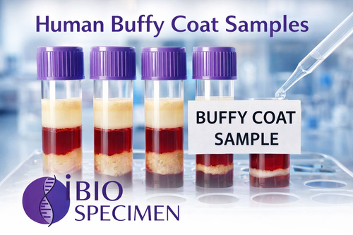 Human Buffy Coat Samples | Research-Grade Specimens.png
