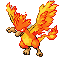 front nobg.png