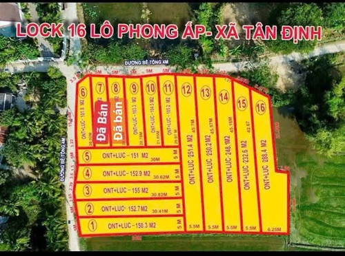 647265585 26013477748313013 2937837394081893830 n.jpg