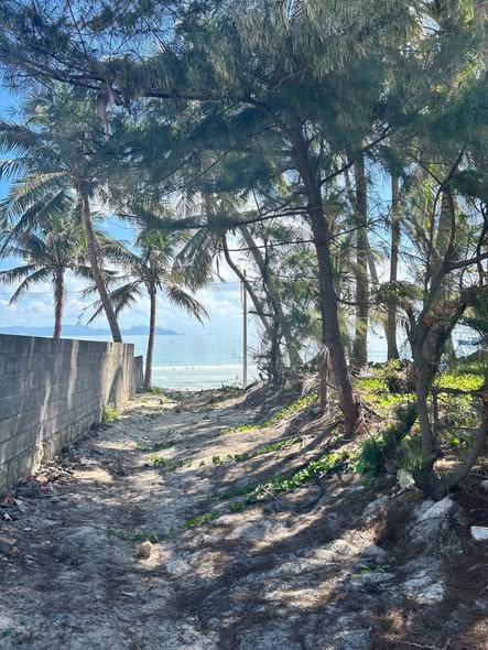 648428528 940891672035632 4007502993309145313 n.jpg