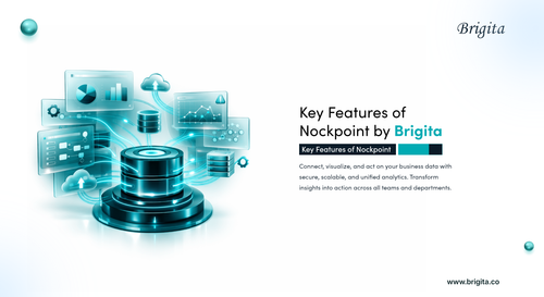 11 Brigita Presents Nockpoint The Unified Data & BI Platform Driving Smarter Decisions – 1.png