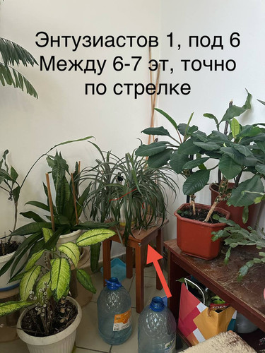 IMG 9134.jpg