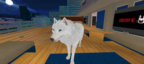 imagen.png