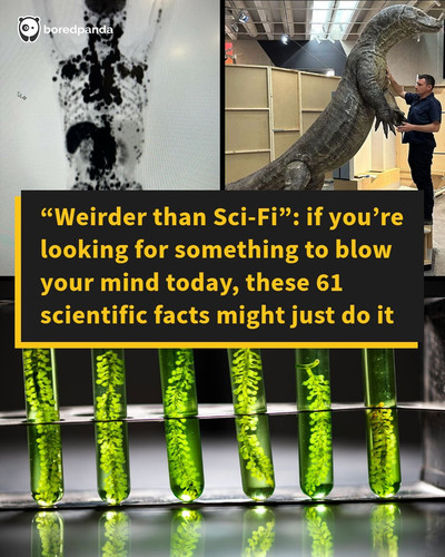 scientists share crazy true things.jpg