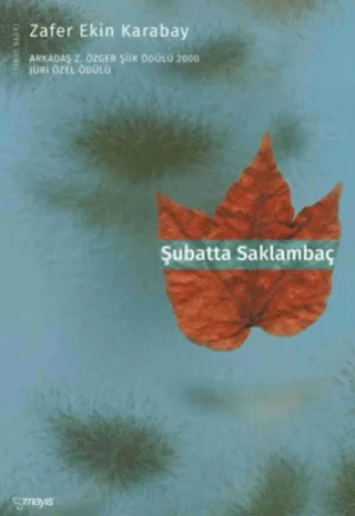 odak 166786.webp