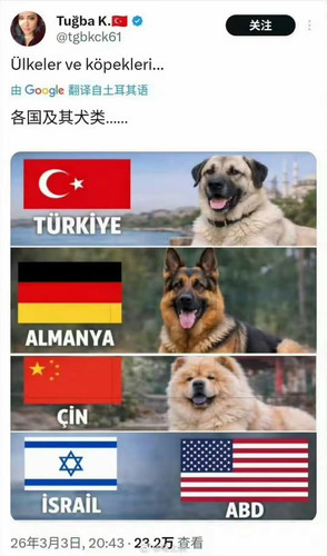 IMG 9043.jpg