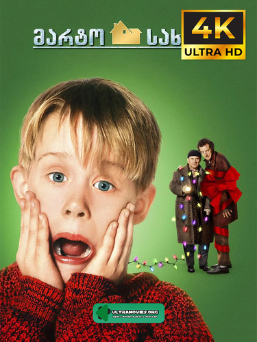 home alone 1 cover.jpg