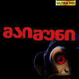 the monkey cover