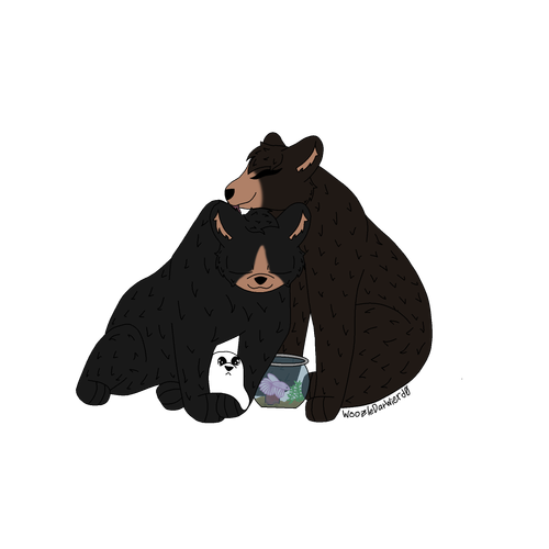 Untitled12 20260305155301.png