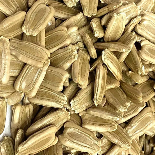 Bottle Gourd Long Lauki Vegetabl.jpg