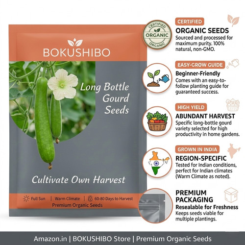 Gemini Generated Image h7temwh7temwh7te.jpg