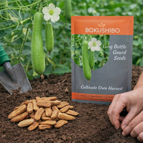 ChatGPT Image Mar 6, 2026, 05 43 55 AM.jpg