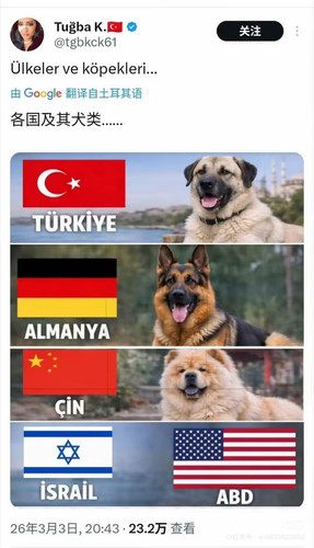 68994599 1CC2 4DF9 B002 320AB208EF37.jpg