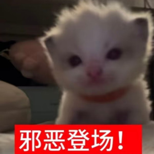 1771991907038.jpg