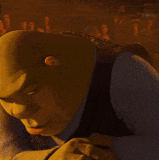 shrek.gif