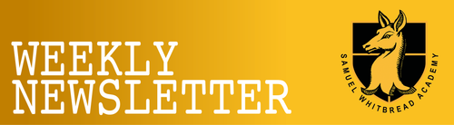 SWA Newsletter Header Test 2.png