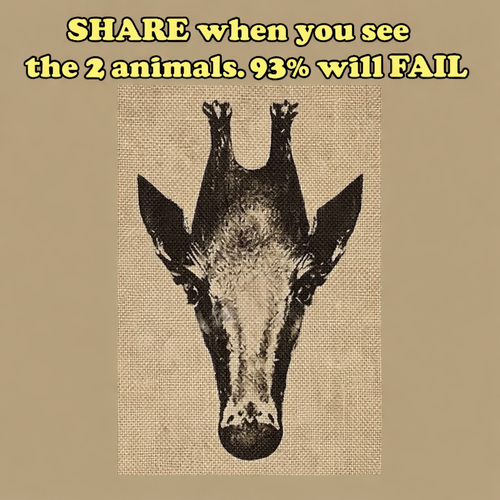 ChatGPT Image Mar 5, 2026, 08 27 23 PM.png