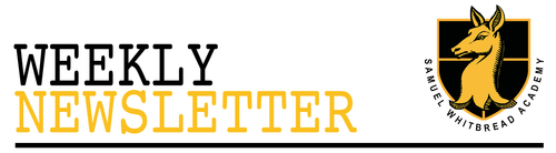 SWA Newsletter Header Test 1.png