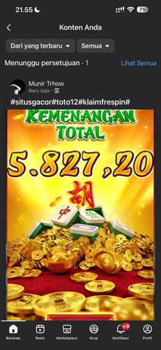 IMG 6528.png