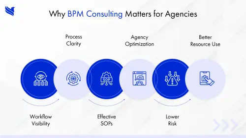 Why Agencies Need BPM Consulting for Better Workflow Management.webp