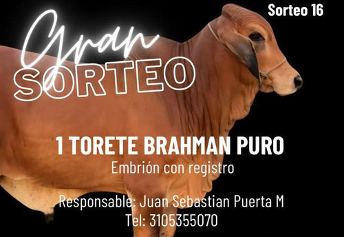 sebastian puerta 2.jpg