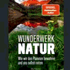 100zu3,5 Kopie.gif