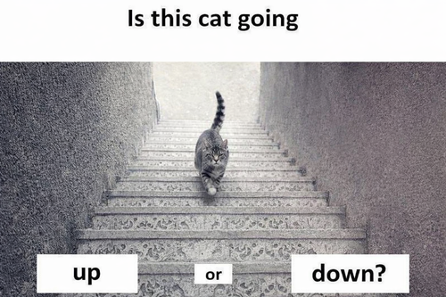 ChatGPT Image Mar 5, 2026, 08 30 02 PM.png