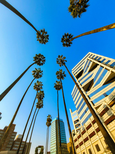 stan mpakati 1DeiN3AsCH4 unsplash.jpg