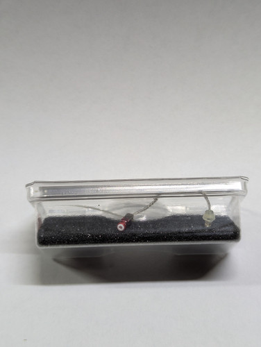 PXL 20260226 122618925.jpg