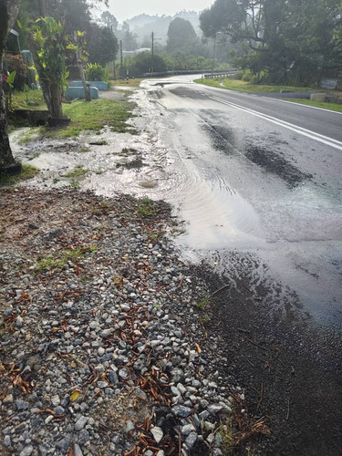 WhatsApp Image 2026 03 06 at 8.38.10 AM.jpg