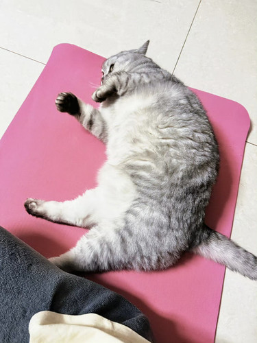 IMG 20260306 102728.jpg