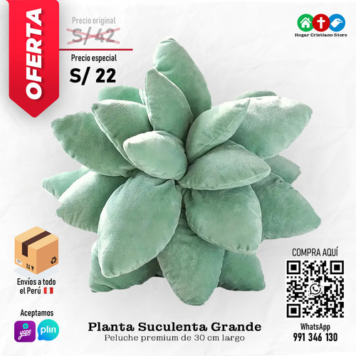 HCS00029 Planta Suculenta.jpg