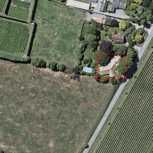 10002503 annotated.png