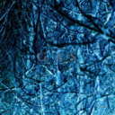 378902d8a19a.png