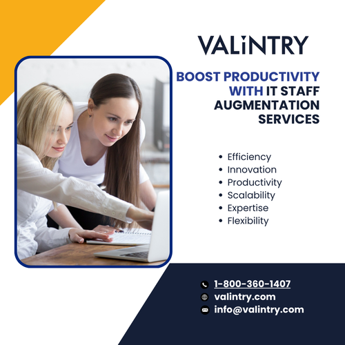 Boost Productivity with IT Staff Augmentation Services.png