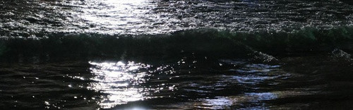 banner.jpg