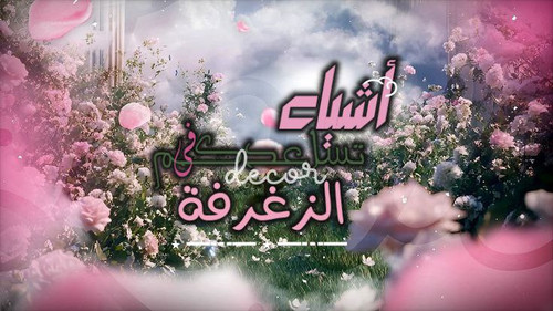 file 639.jpg