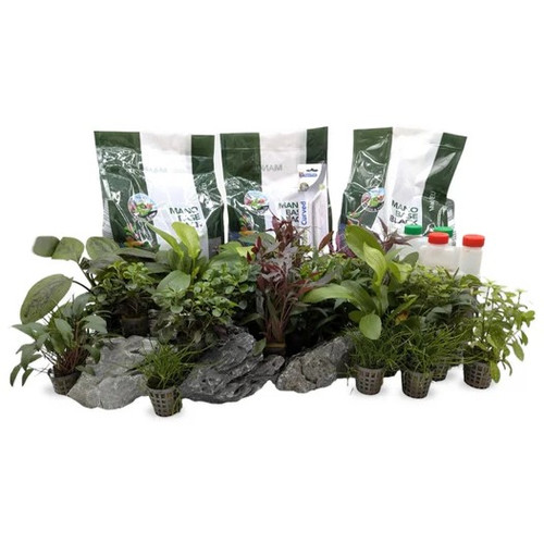 Premium Fishtank Rocks for Natural Aquarium Decor | Aqua Essentials.jpg