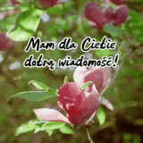 ezgif 66dc37ae971d8ad6.gif