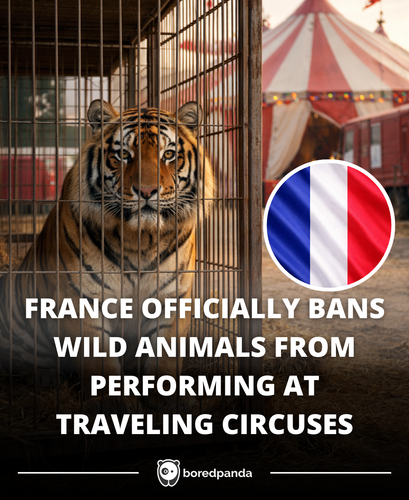 165. France bans wild animal zoos.png
