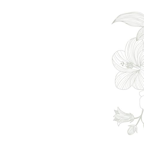 fdf 20250420031730 ffdk.png