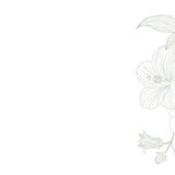 fdf 20250420031730 ffdk