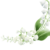 7b524ac9 91ba 4cc2 9bb9 5fc78e4cdb79kk 20251207153539 upjkh