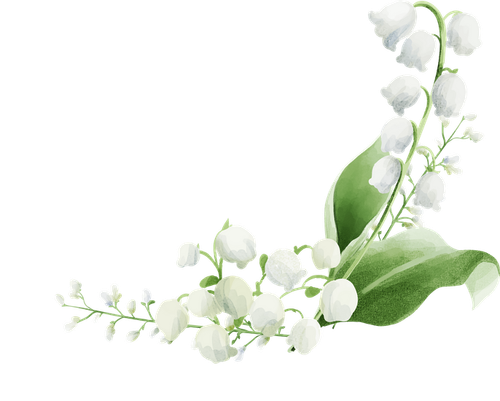 7b524ac9 91ba 4cc2 9bb9 5fc78e4cdb79kk 20251207153539 upjkh (1).png