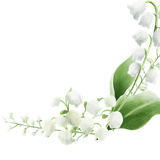 7b524ac9 91ba 4cc2 9bb9 5fc78e4cdb79kk 20251207153539 upjkh (1)