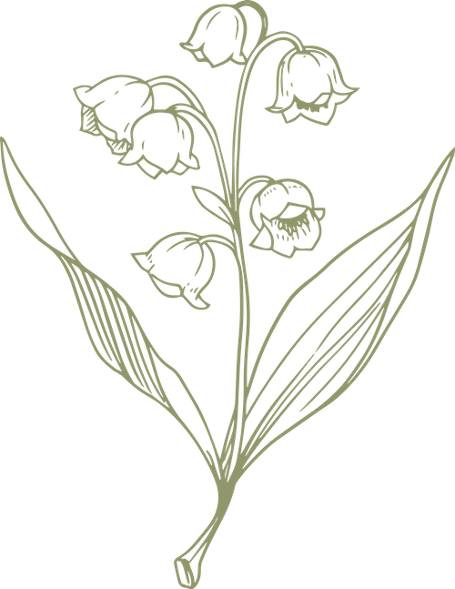 e8a05b3e 2b04 4b09 9c8f 8bfd363a8286 converted 07 20251207160309 lyymt.png