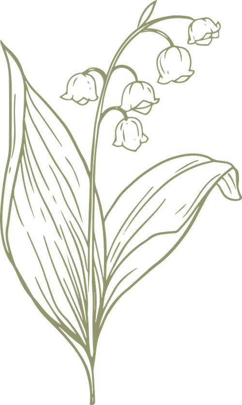 e8a05b3e 2b04 4b09 9c8f 8bfd363a8286 converted 03 20251207155815 roykn.png