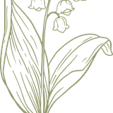 e8a05b3e 2b04 4b09 9c8f 8bfd363a8286 converted 03 20251207155815 roykn